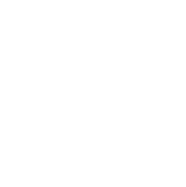 africa block logo white