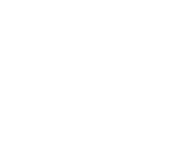africa block logo white
