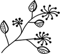 intro icon img